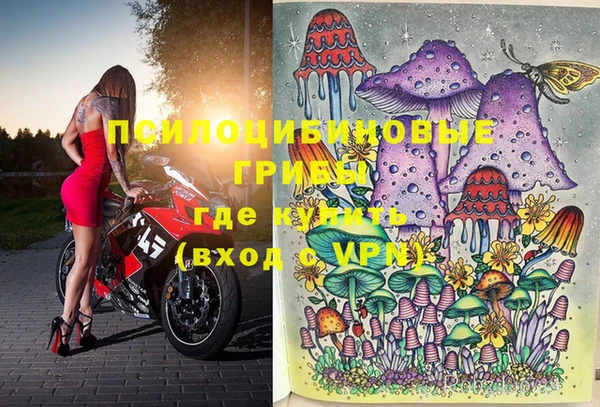 мдпв Новокубанск