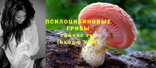 марки lsd Бердск