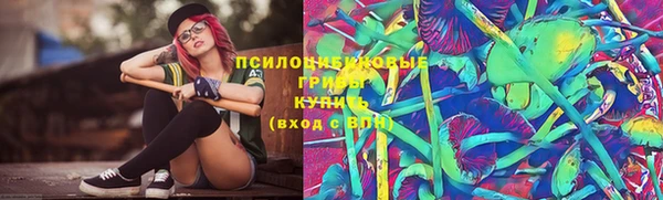гидропоника Ачинск