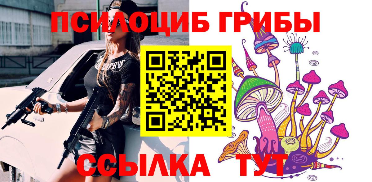 Псилоцибиновые грибы мицелий Апшеронск