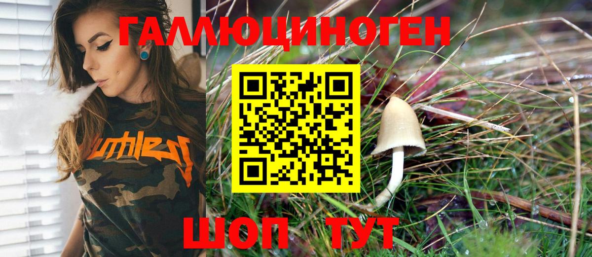 Конопля Апшеронск